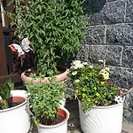 Mit Garten Und Spielplatz Lägenhet