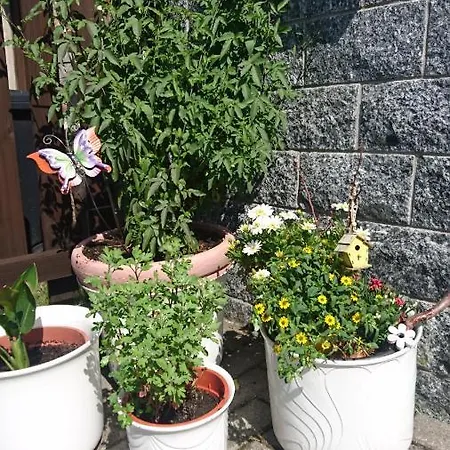 Mit Garten Und Spielplatz Apartment