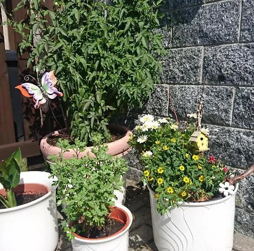 Mit Garten Und Spielplatz شقة